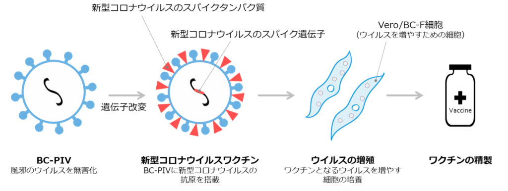 BC‐PIVを活用した新型コロナウイルス（SARS-CoV-2）ワクチンの作製プロセス