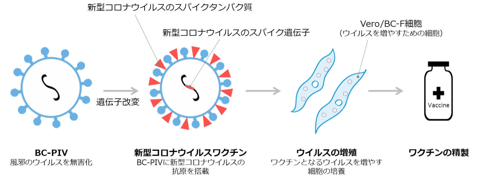 新興・再興感染症から人類を守りたい－次世代型ワクチンの作製－